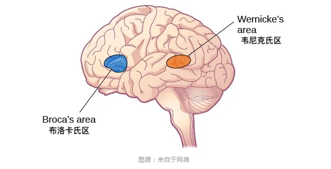 育兒干貨 | 男生比女生數(shù)學好，就應該差異化教學！