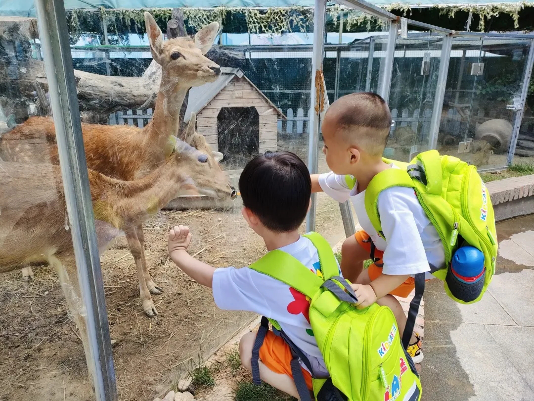 不做“宅童”！吉的堡幼兒園帶領(lǐng)孩子奔向自然，去野趣成長！