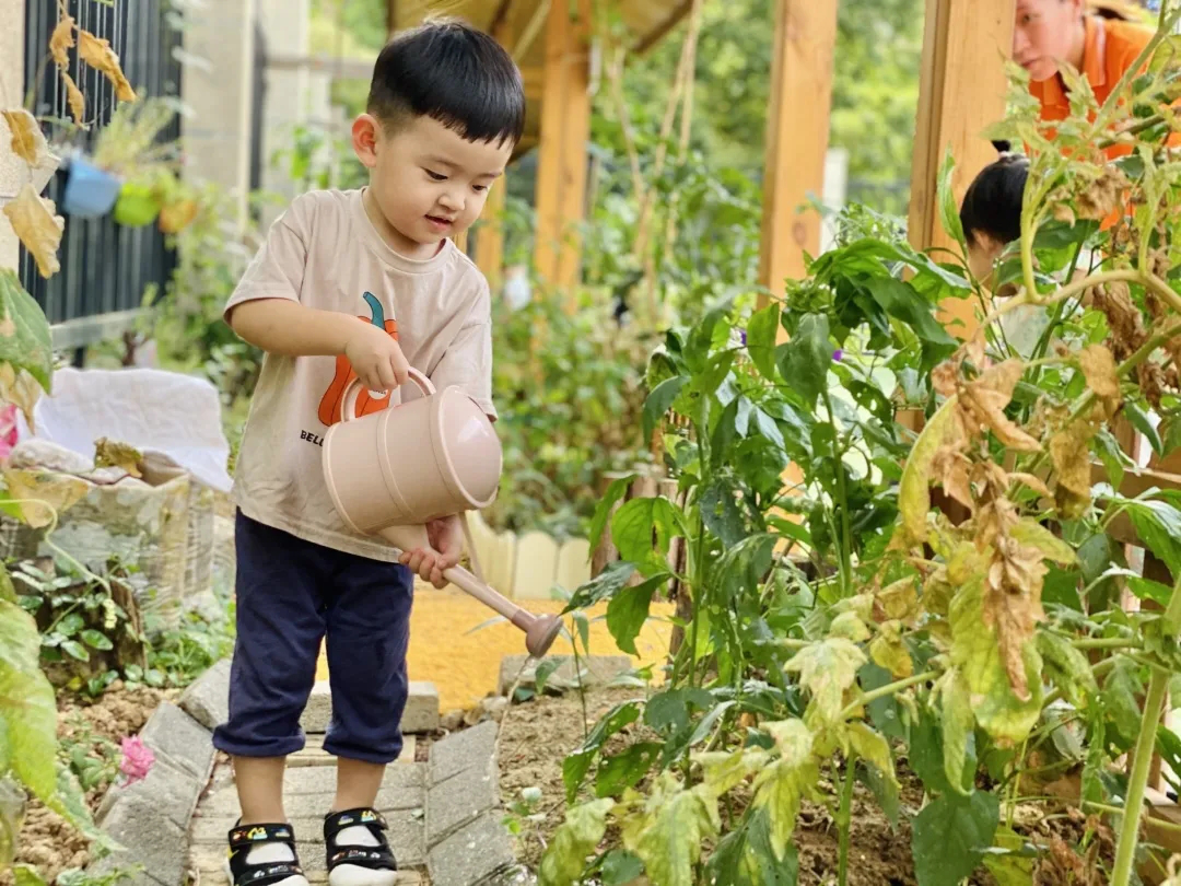 不做“宅童”！吉的堡幼兒園帶領(lǐng)孩子奔向自然，去野趣成長！