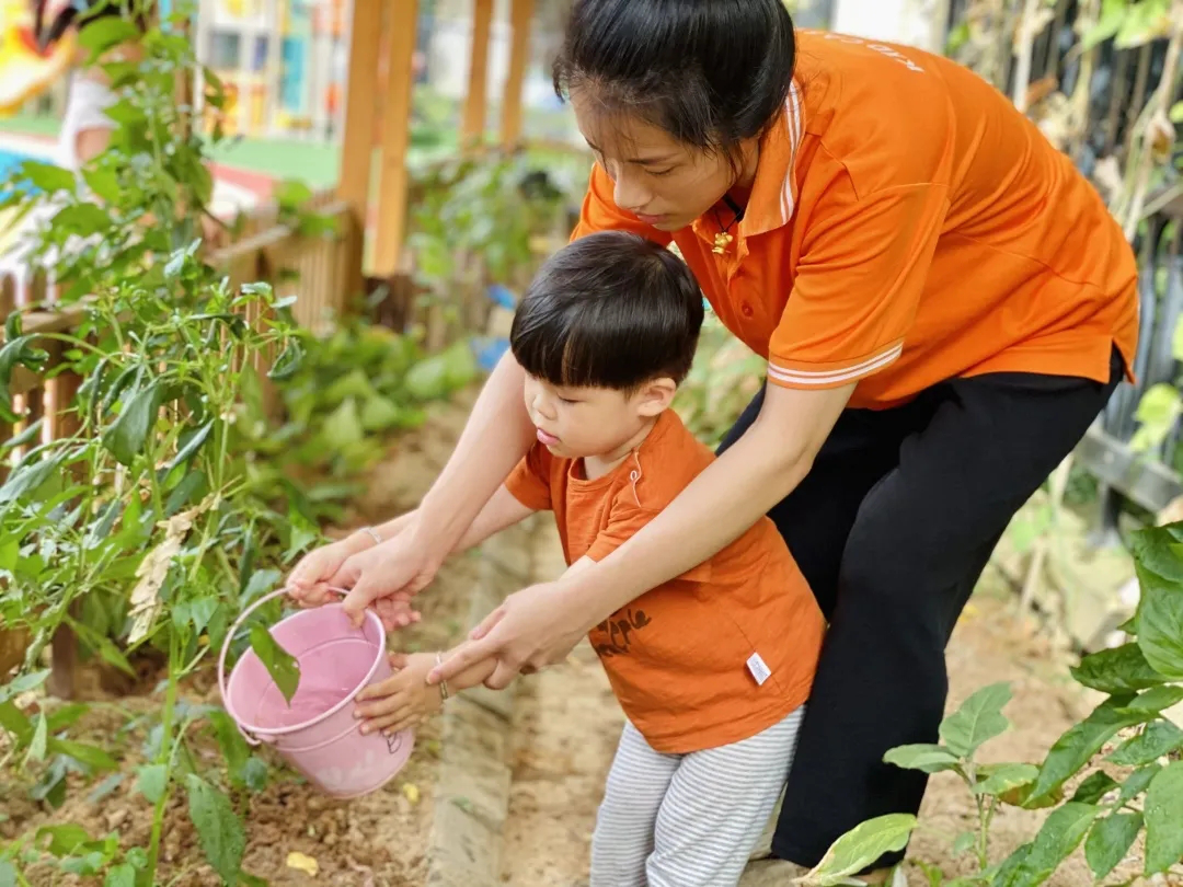 不做“宅童”！吉的堡幼儿园带领孩子奔向自然，去野趣成长！