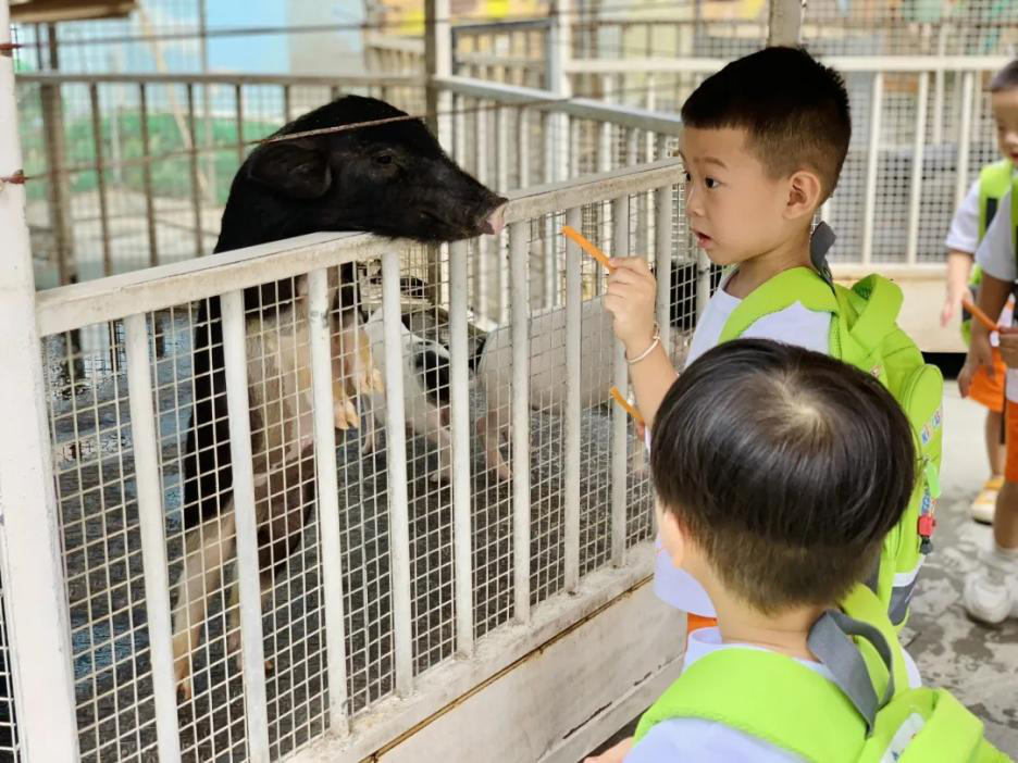 不做“宅童”！吉的堡幼兒園帶領(lǐng)孩子奔向自然，去野趣成長！