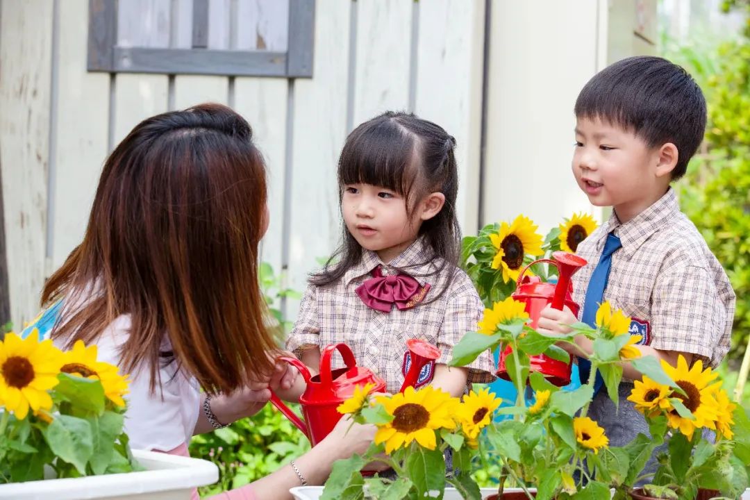 如何正确表扬？吉的堡教你掌握育儿「夸夸之道」