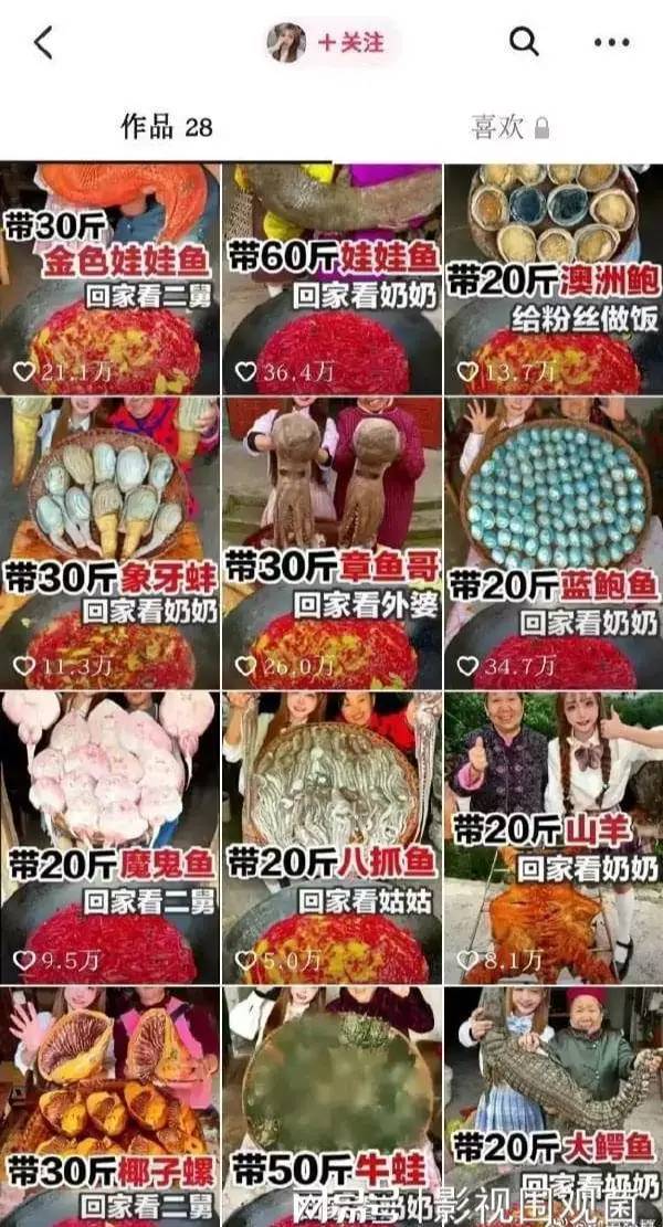 网红提子食用大白鲨被抓！莫让低俗直播污染孩子眼睛